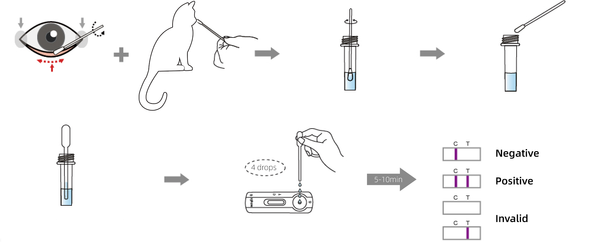 rapid test device procedure